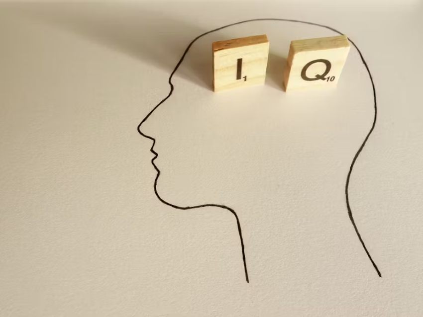 test-iq-3