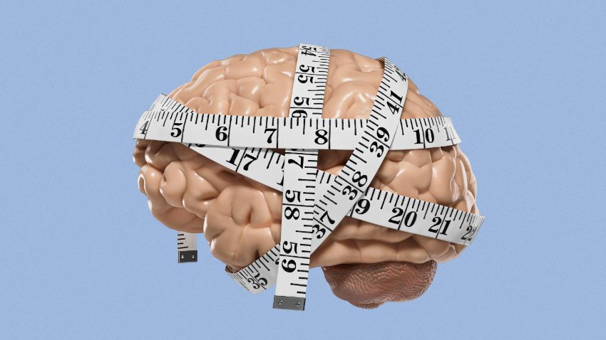 test-iq-5