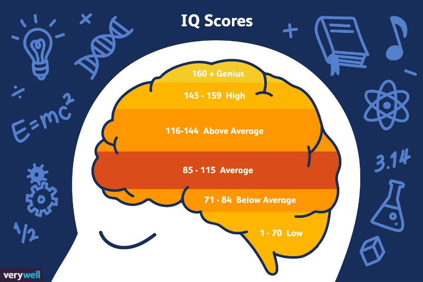 test-iq-7
